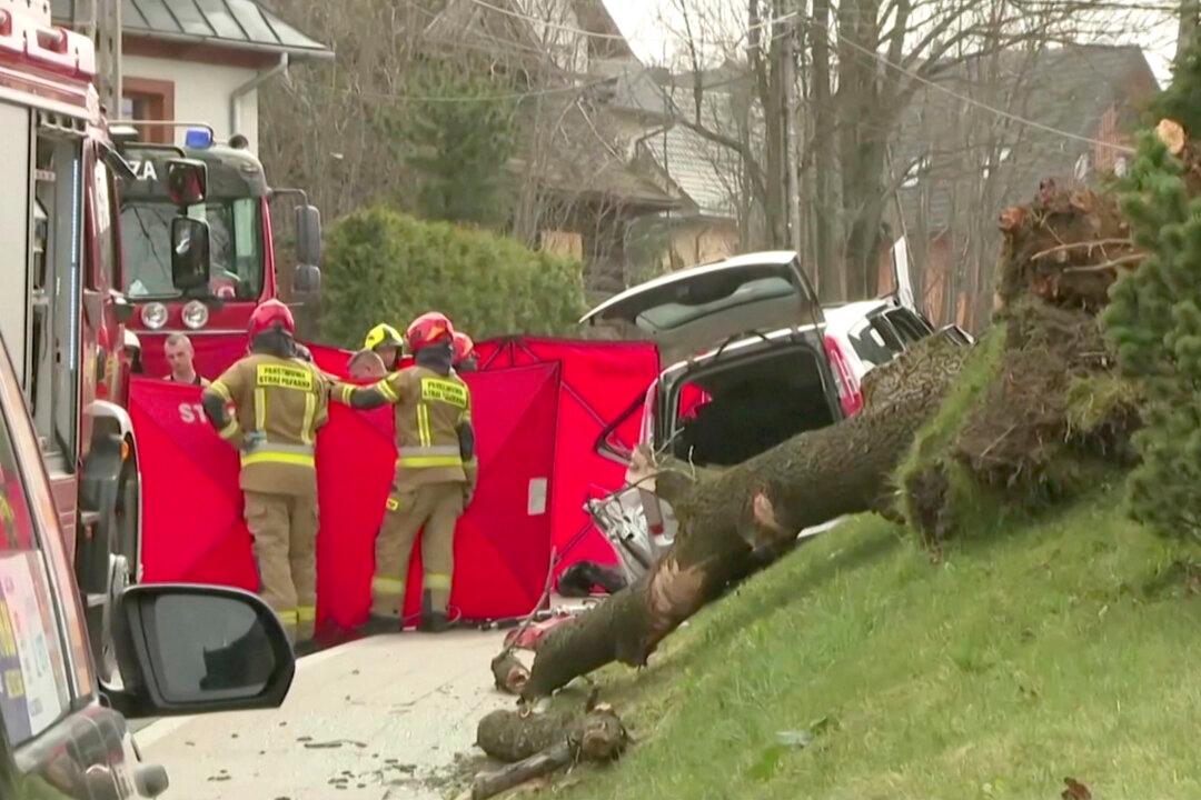 3 Adult, 2 Children Crushed to Death When Strong Winds Topple Trees in Poland