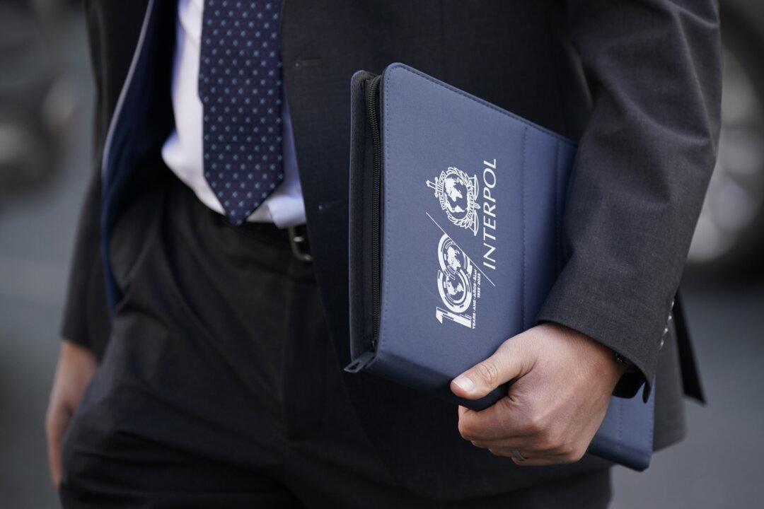 British Interpol Candidate to Clampdown on Russia and China