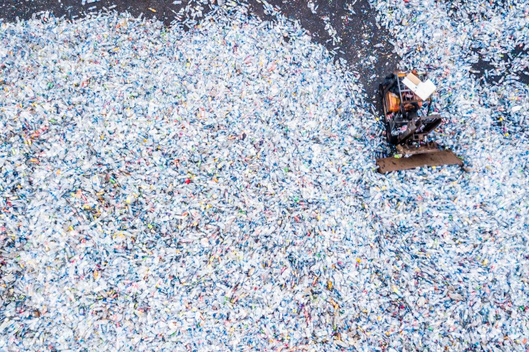 From the Recycling Bin to the Landfill: The Major Flaw in Plastic Recycling
