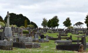 COVID-19 Vaccine Side Effects Under Scrutiny: Senate Inquiry Targets Excess Mortality