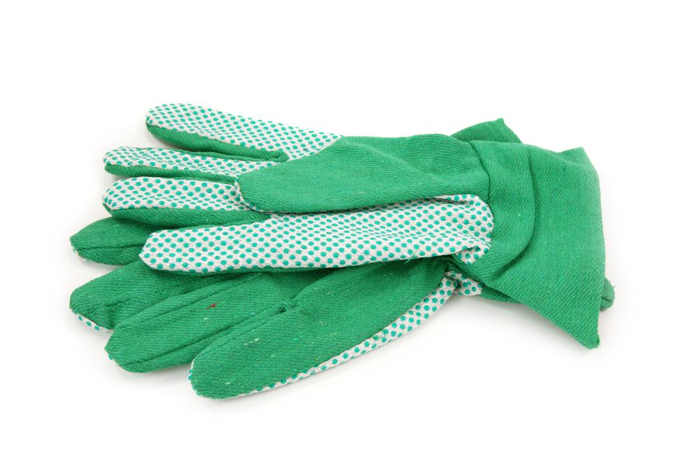 Garden gloves come in different materials, each suitable for a different type of task. Consider collecting several pairs so that you always have something ideal for the day's agenda.(Elena Schweitzer/Shutterstock)