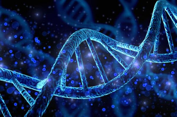 Blue helix human DNA structure. (Billion Photos via Shutterstock)