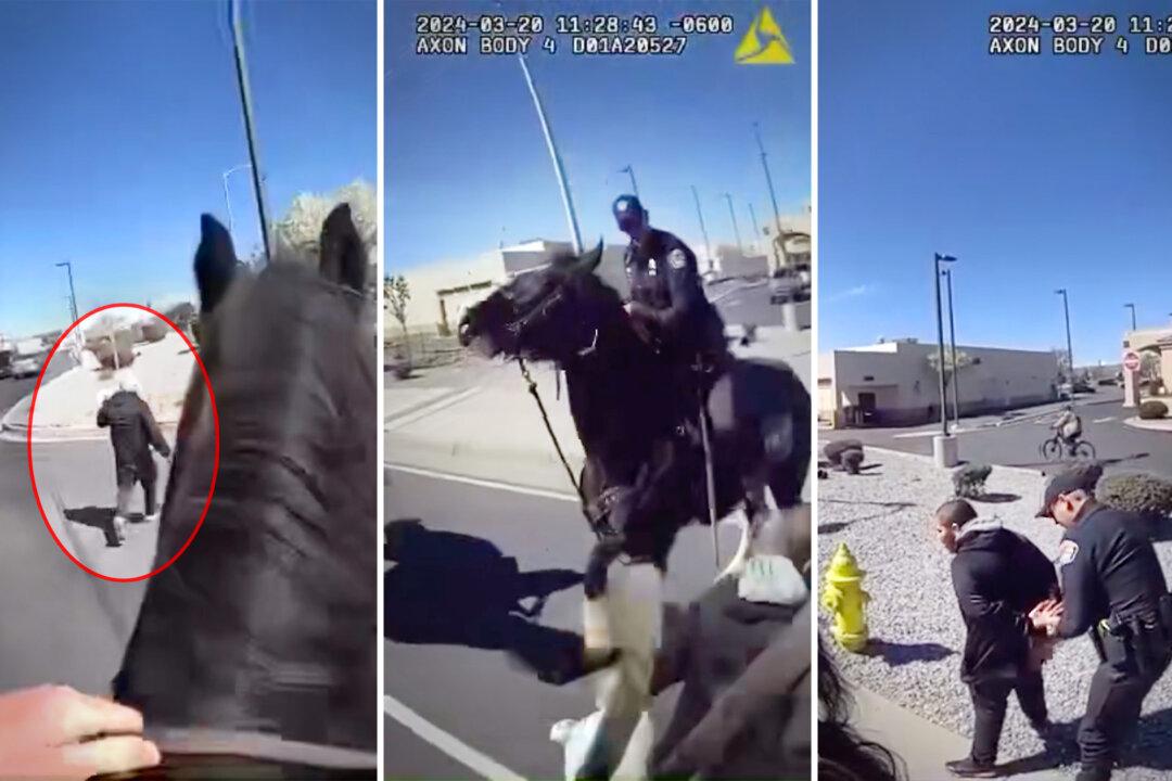 VIDEO: New Mexico Police on Horseback Chase Shoplifting Suspect Through Streets, Make Arrest