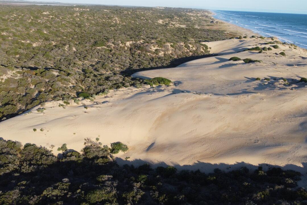 Australian Dunes Retreating From Ocean at Alarming Rate