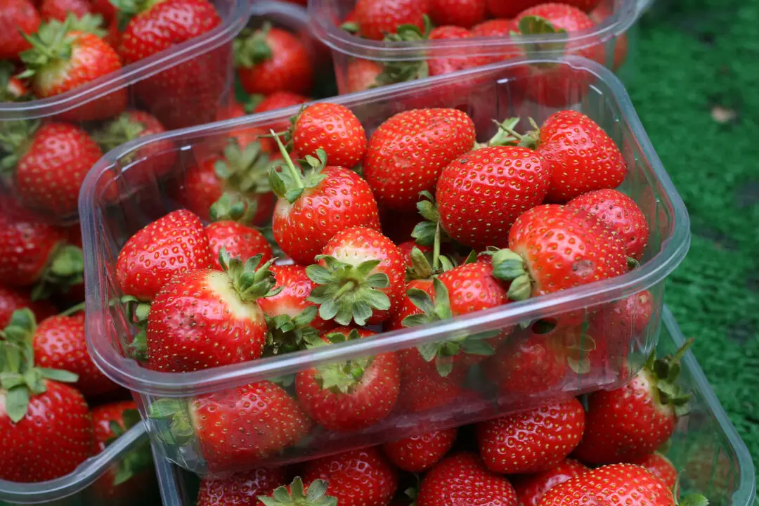 ‘Forever Chemicals’ Present in 95 Percent of Strawberries