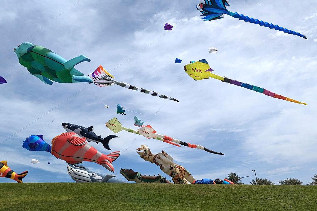 California Resident Brings Joy With Large Colorful Kites