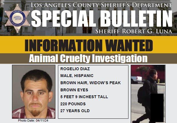 Man Suspected of Killing Cat in Los Angeles County Arrested