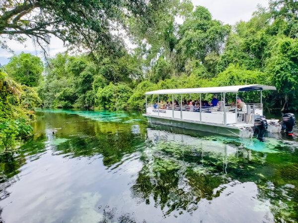 An Everglades Airboat Adventure acquaints visitors with the beauty of Florida's unique ecosystem at the Weeki Wachee theme park. (Courtesy of Dani24am_158866496)