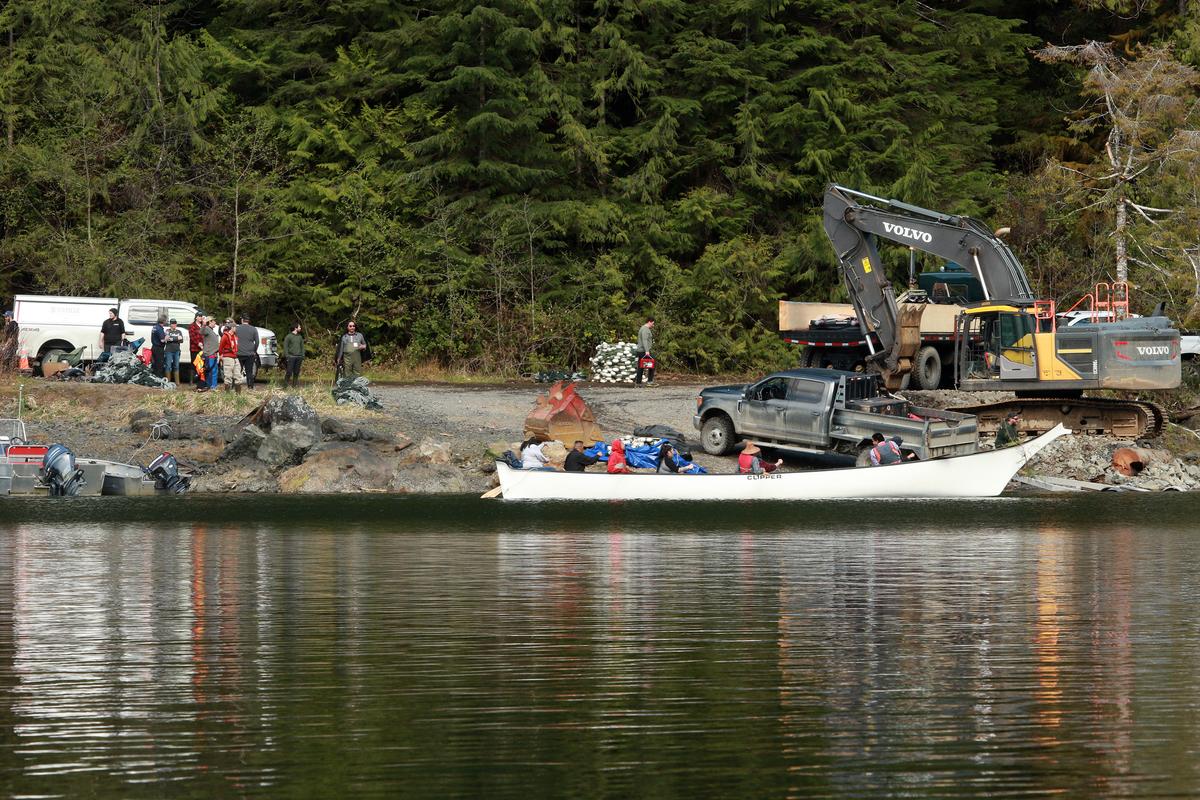 BC Rescue Team Regroups After Little Orca Thwarts Capture in Remote Lagoon