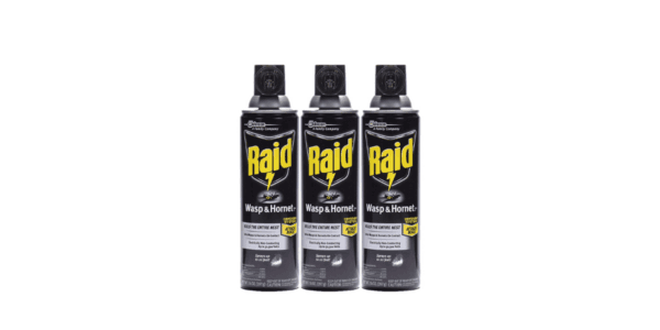 Raid Wasp Hornet Killer Spray