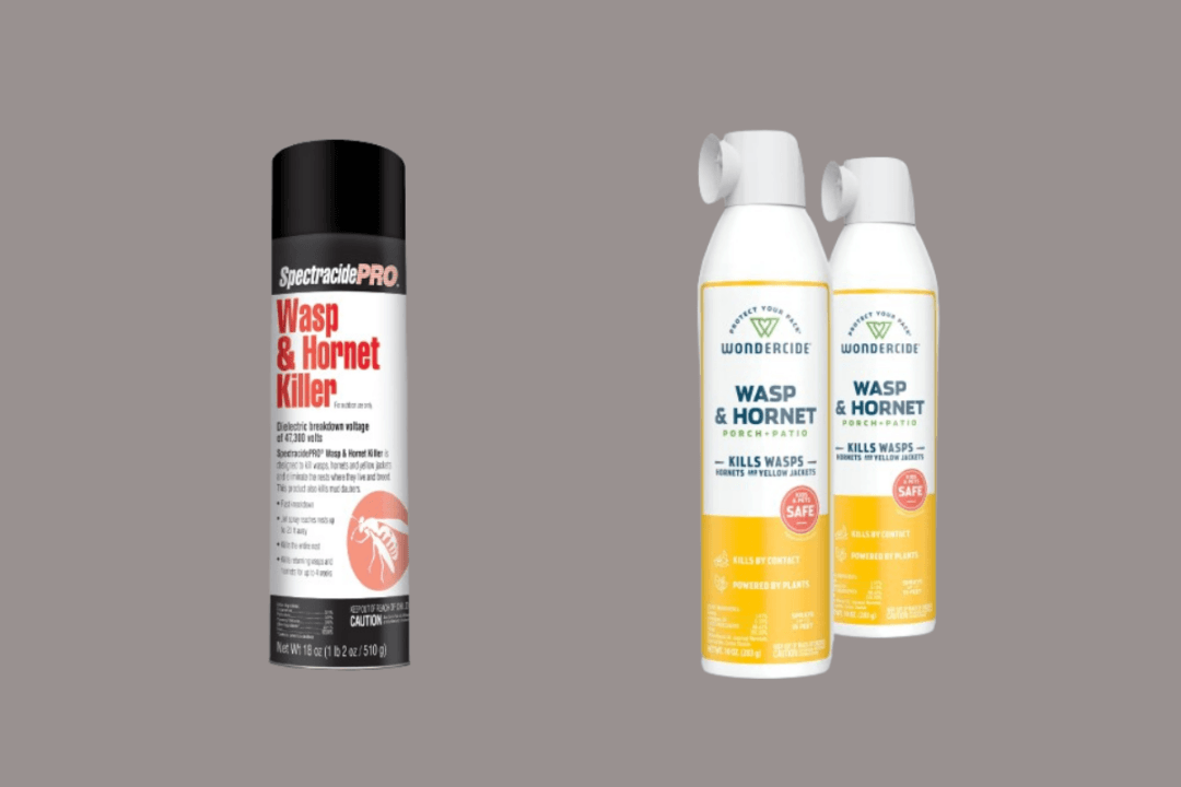 10 Wasp & Hornet Sprays to Get Rid of Insects