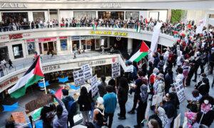 Pro-Palestinian Protests Erupt Across California