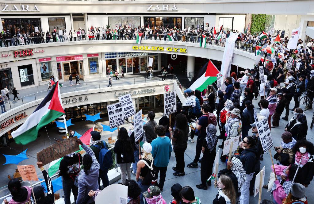 Pro-Palestinian Protests Erupt Across California