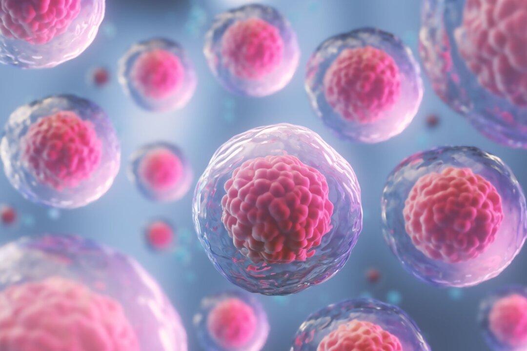 The 20-Year Debate on Embryonic Stem Cell Cloning