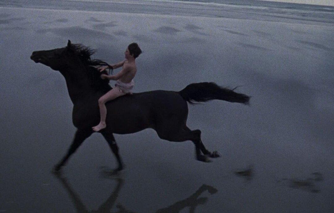 ‘The Black Stallion’: Untamed Power, Speed, Beauty, and Majesty