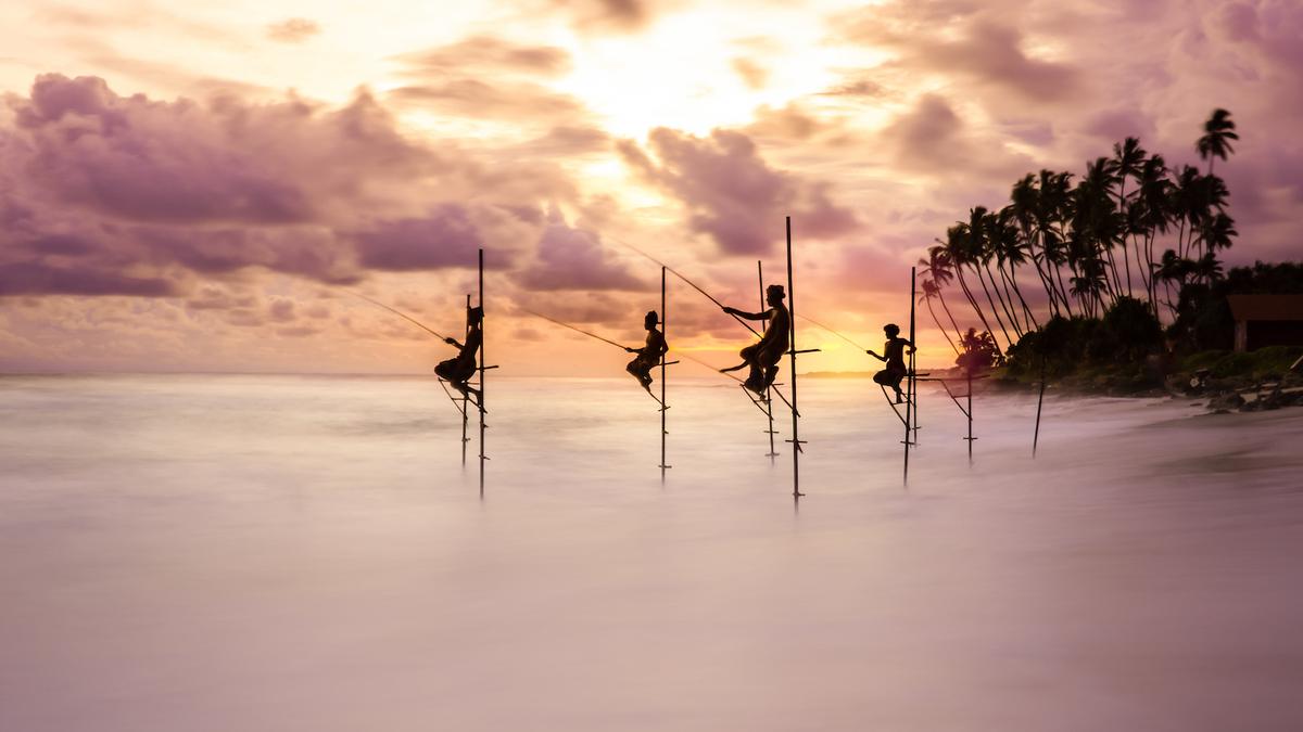 "Catch of the Day" by Mr. Evangelidis. (Courtesy of Ioannis Pavlos Evangelidis/<a href="https://www.worldnaturephotographyawards.com/">World Nature Photography Award</a>)