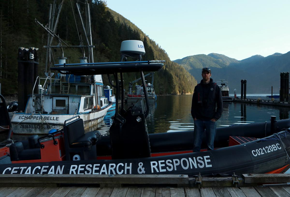 Whale Experts Confident Orca Calf Will Survive, Find Family If Rescue Plan Succeeds