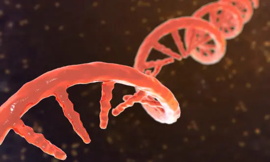 Chinese University Reviewing Gene Editing Research as Family Discloses Daughter’s Death
