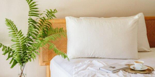 Nest Bedding Silk Luxury Pillowcase