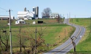 Senate, House Committees Release Previews of Farm Bill