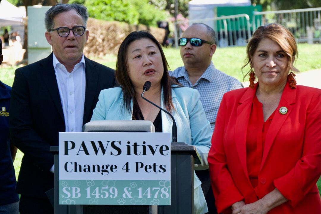 Bipartisan Pet Protection Bills Advance in California Legislature
