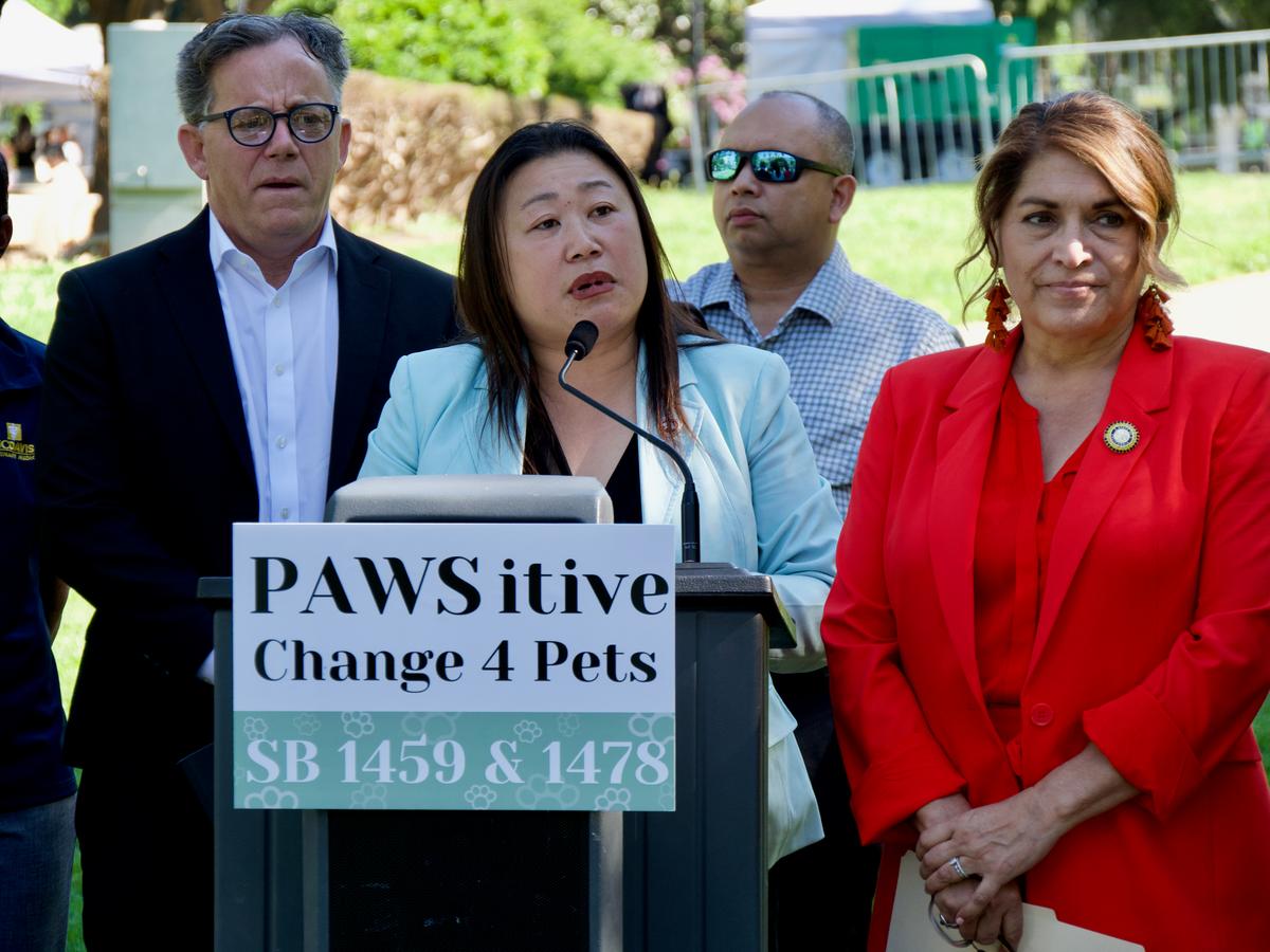 Bipartisan Pet Protection Bills Advance in California Legislature