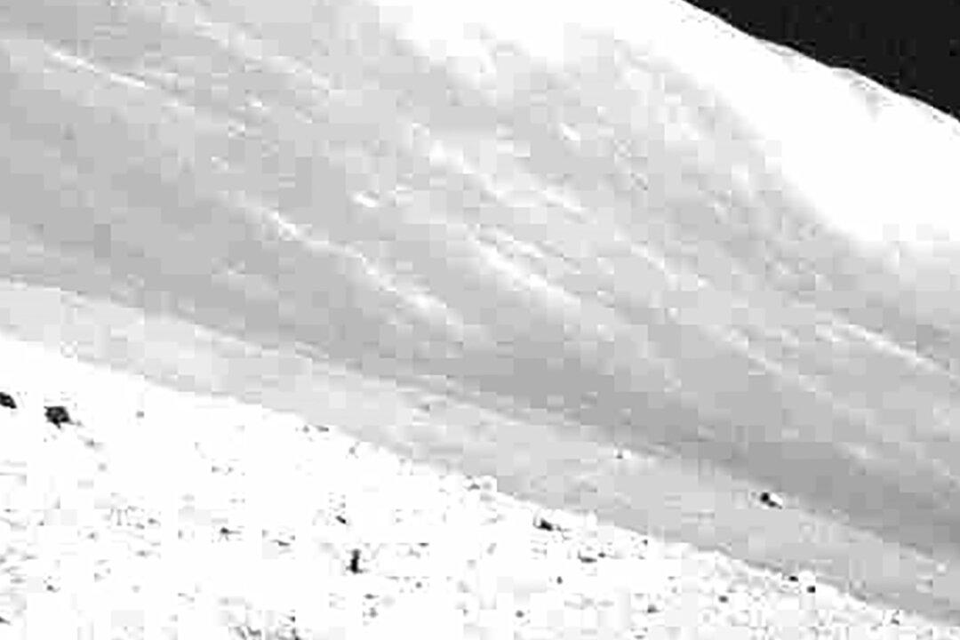 Japan’s Moon Lander Wasn’t Built to Survive Weekslong Lunar Night; It’s Still Going After 3