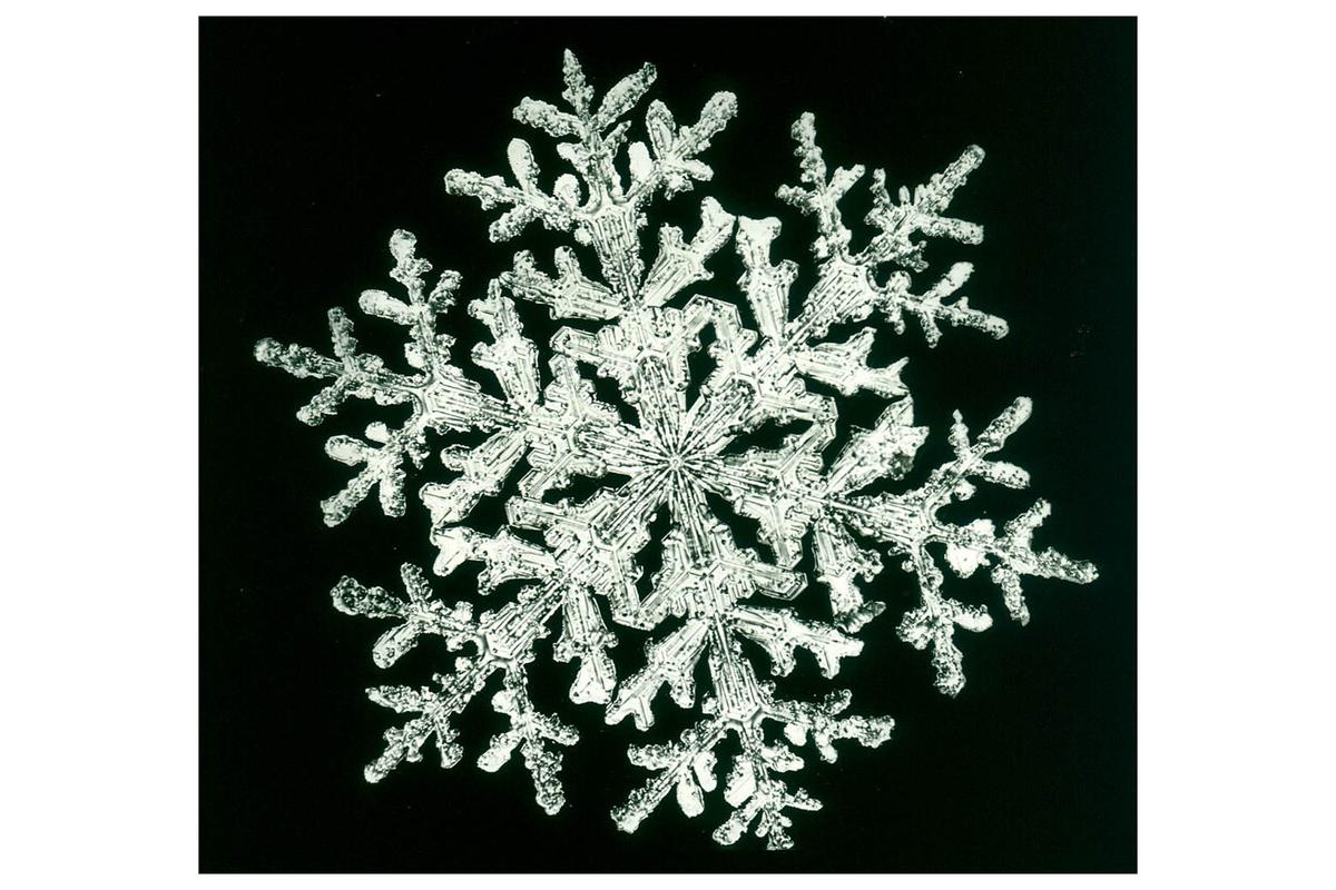 A beautiful snow crystal illustrates the saying coined by Mr. Bentley, "No two snowflakes are alike." (Photos from Amy Bentley Hunt collection, Jericho Historical Society)