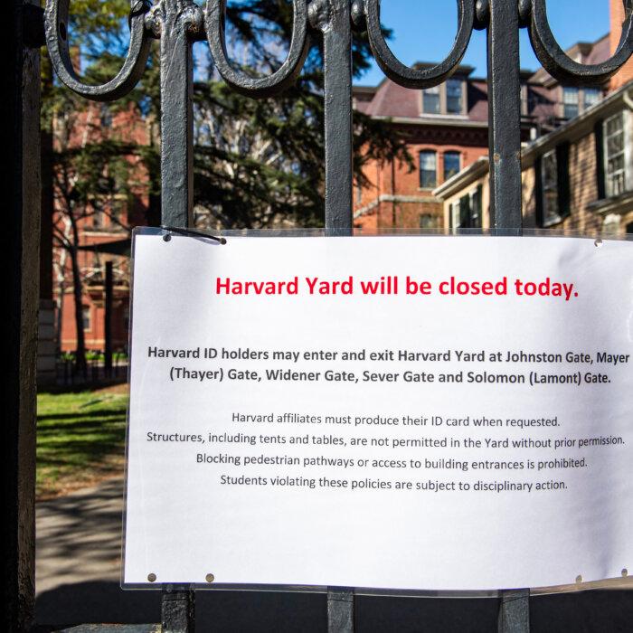 Harvard Students Prop Up Tents to Protest Israel-Hamas War