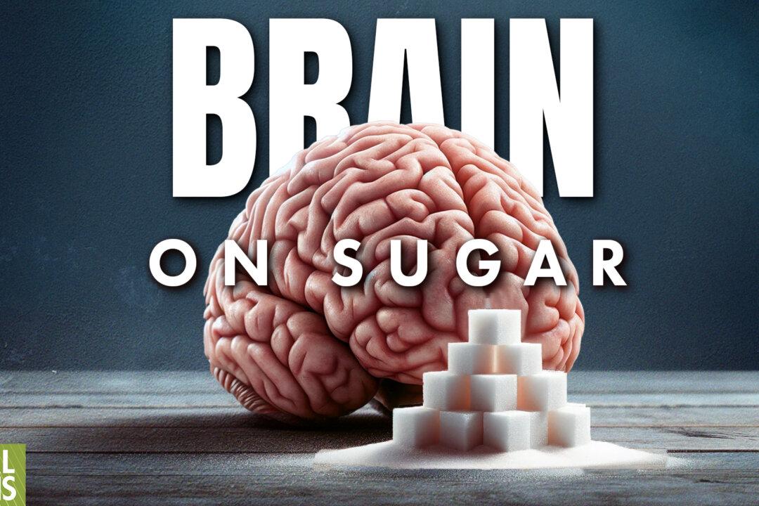 [PREMIERING at 9:30AM ET] How Sugar Is Both ‘Brain Saver’ and Toxin: The Truth About Artificial Sweeteners