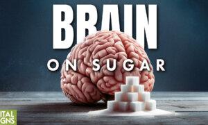 How Sugar Is Both ‘Brain Saver’ and Toxin: The Truth About Artificial Sweeteners