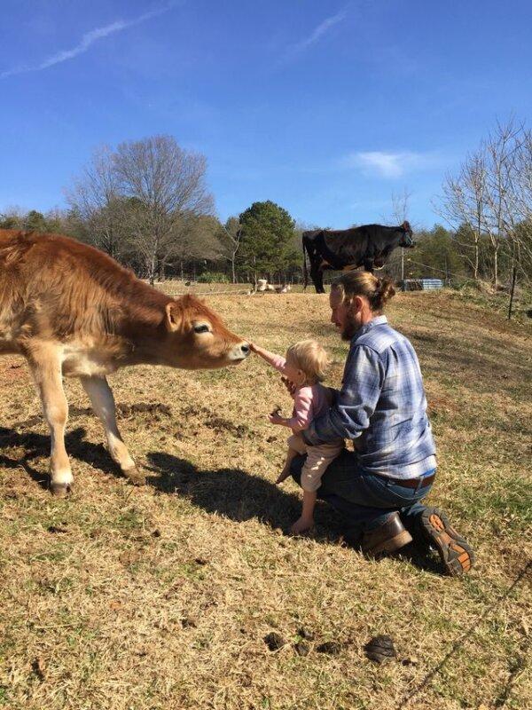 Ben Hollar introduces his daughter to a homestead cow. (Courtesy of Meg and Ben Hollar)
