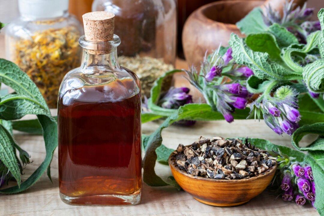 Comfrey: A Common Plant With Uncommon Healing Capabilities