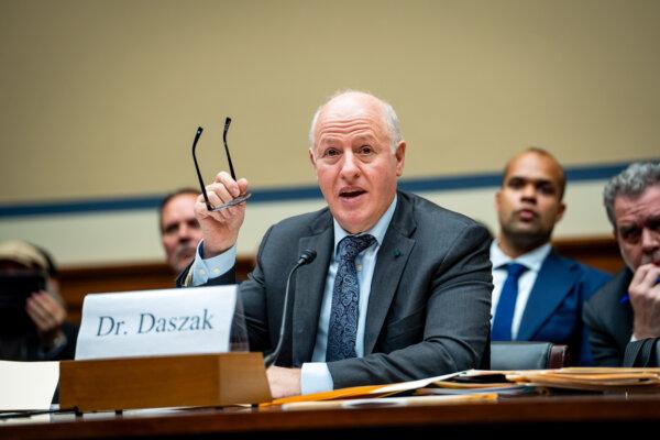 Peter Daszak, president of the EcoHealth Alliance, testifies before the Select Subcommittee on the Coronavirus Pandemic in Washington on May 1, 2024. (Madalina Vasiliu/The Epoch Times)