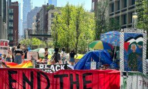 Pro-Palestinian Protests Simmer in Campus Standoffs Amid Growing Fears of Violence