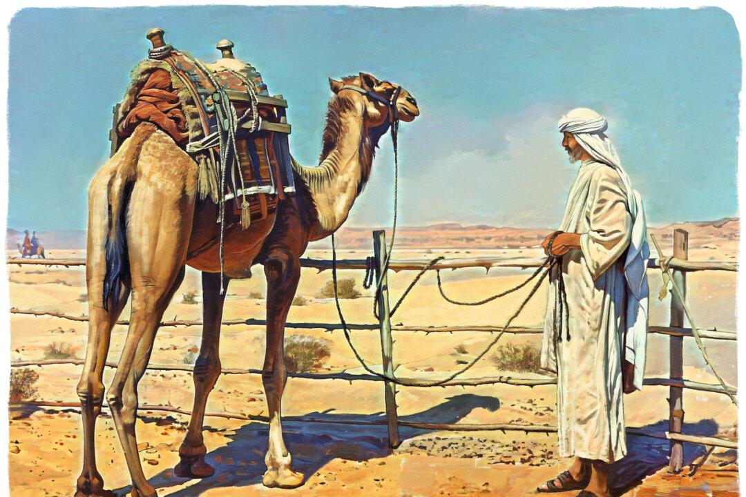 ‘Trust in God, But Tie Up Your Camel’: A Proverb of Faith and Responsibility
