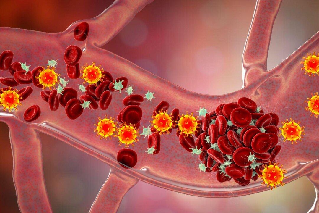 NSW Records About 3,500 COVID Cases in a Week, ‘Most People Do Not Test’