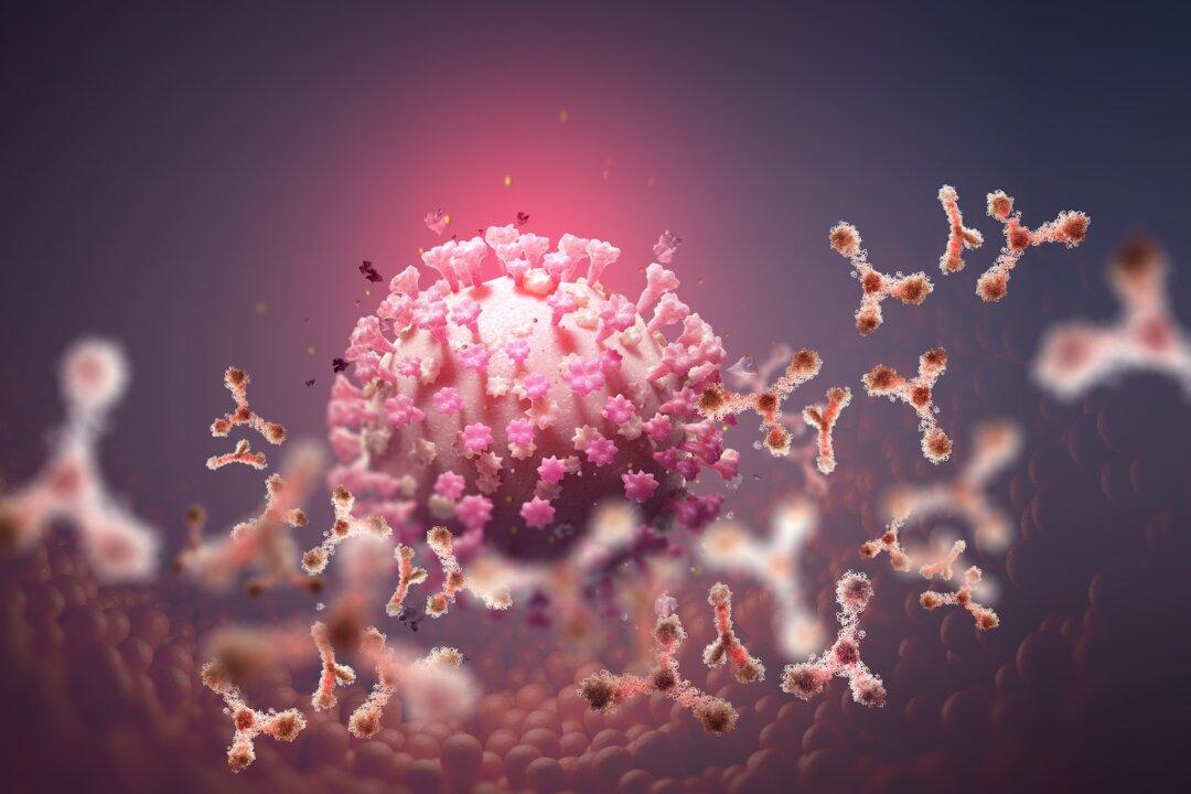 Terrain Theory Versus Germ Theory–A Fresh Look at an Old Principle