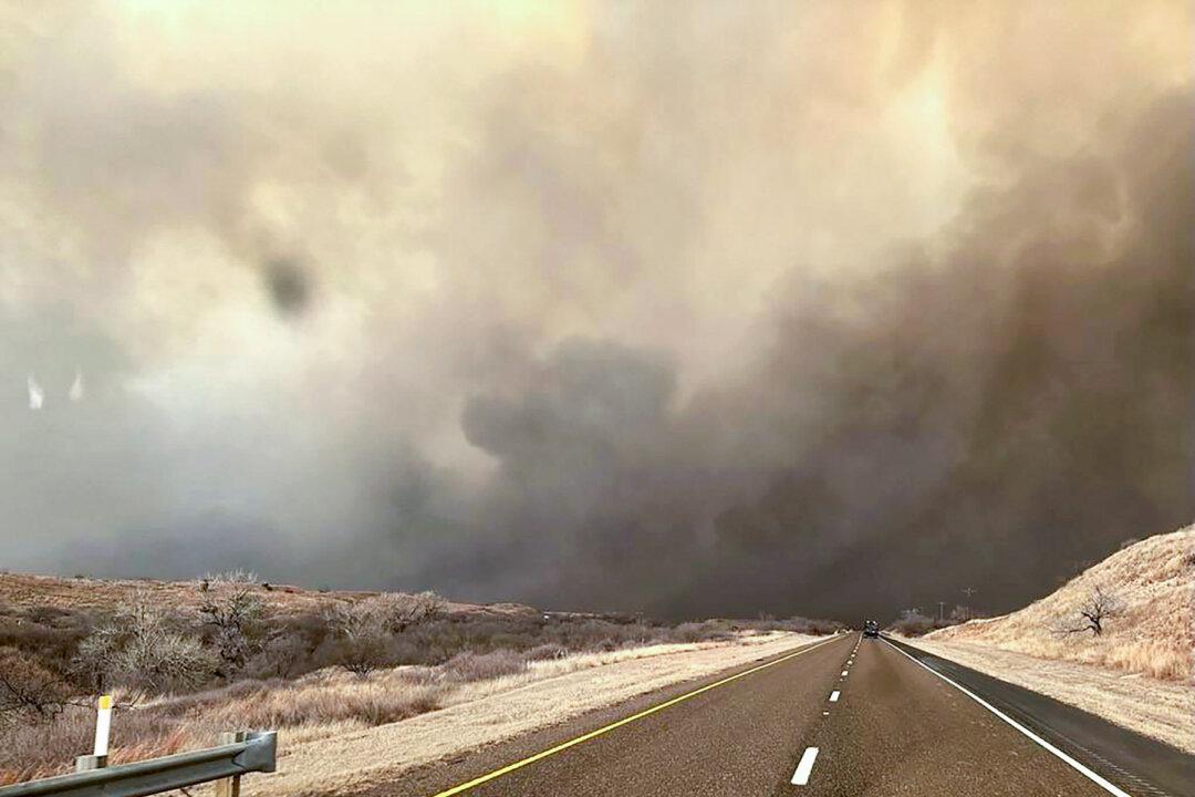 Sen. Ted Cruz, Rep. Ronny Jackson Push Bill to Help Ranchers Devastated by Texas Wildfires