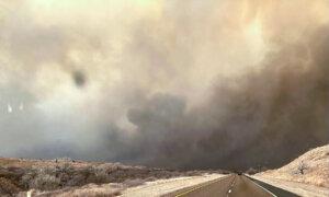 Sen. Ted Cruz, Rep. Ronny Jackson Push Bill to Help Ranchers Devastated by Texas Wildfires