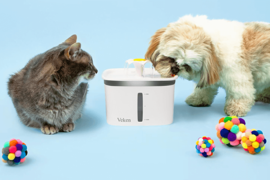 Best Cat Water Fountains: Models That Cats Love