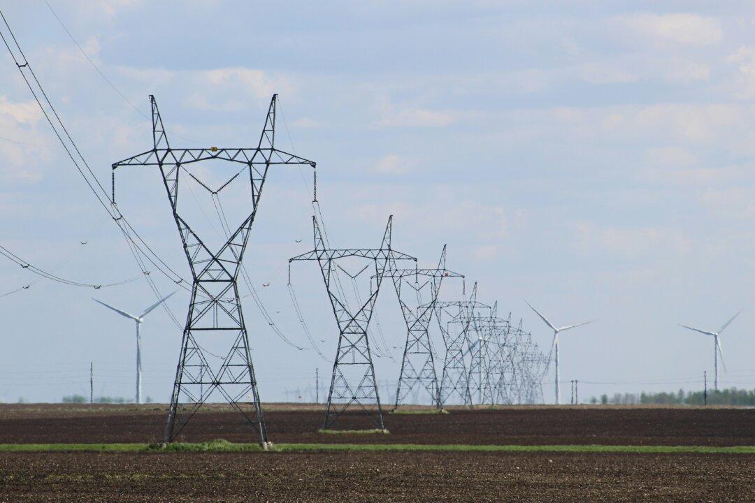The (Anti) Social Cost of Carbon