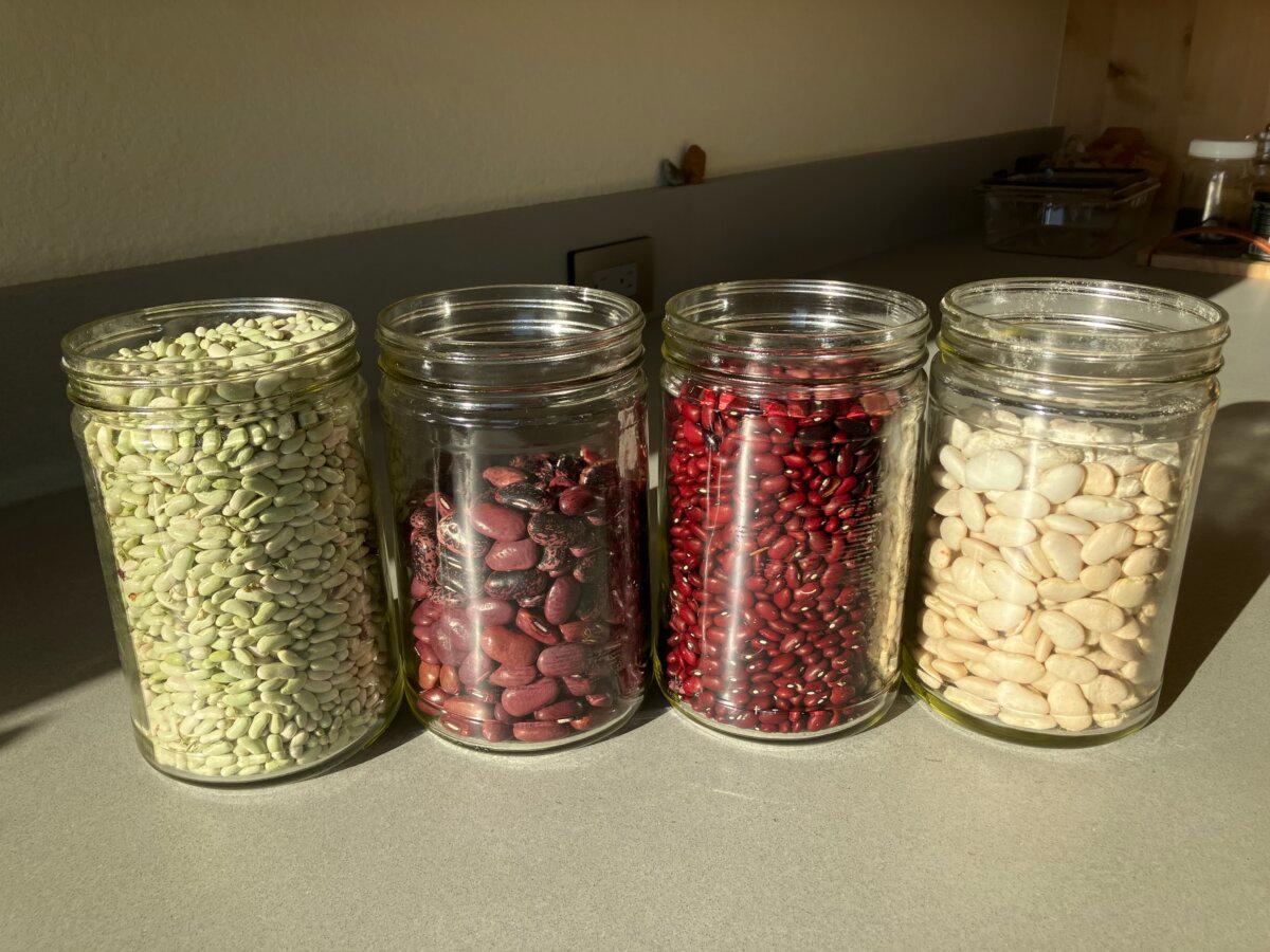 Dried beans from the author's 2023 harvest. (Eric Lucas)