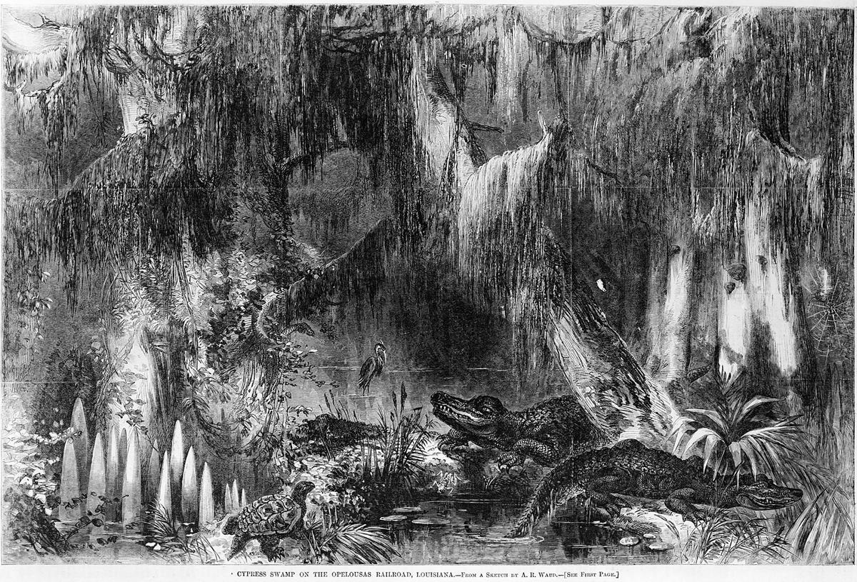 This sketch from a passenger on the Louisiana railroad depicts the difficulty in searching for a sunken, centuries-old steam locomotive. (Public Domain)