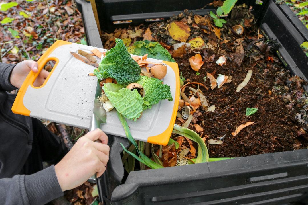 Make Fertile Compost From Waste