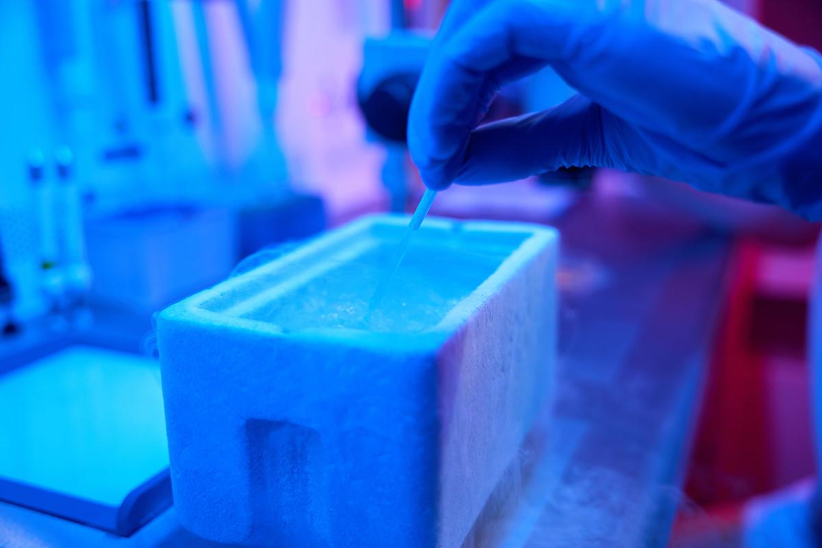Fresh and Frozen Embryo Transfer May Increase Risk of Leukemia Among Offspring