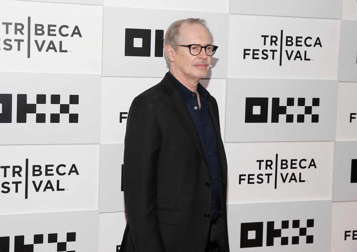 Actor Steve Buscemi Is OK After Being Punched in the Face in New York City
