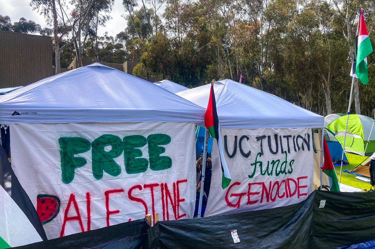 Pro-Palestinian Protests on University Campuses: A Wake-Up Call for US, Israel