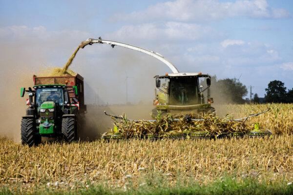 Farm machinery is used to harvest maize plants near Jessen, Germany, on Aug. 24, 2022. (Jens Schlueter/Getty Images)