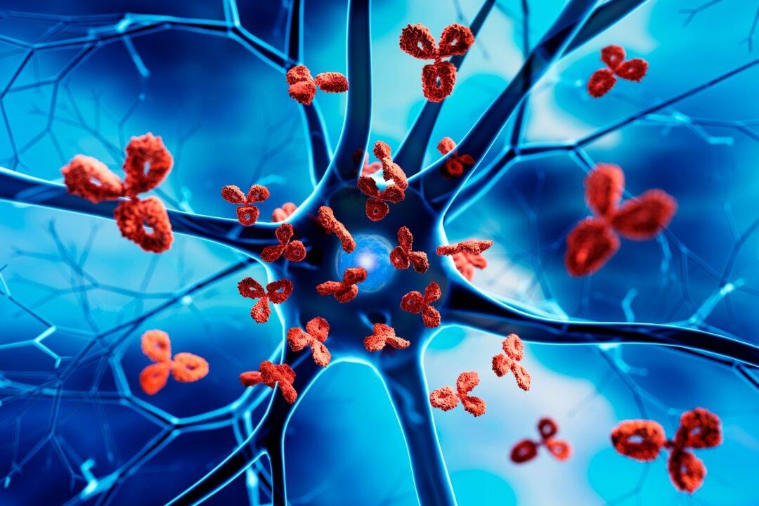 Understanding Antibody Levels